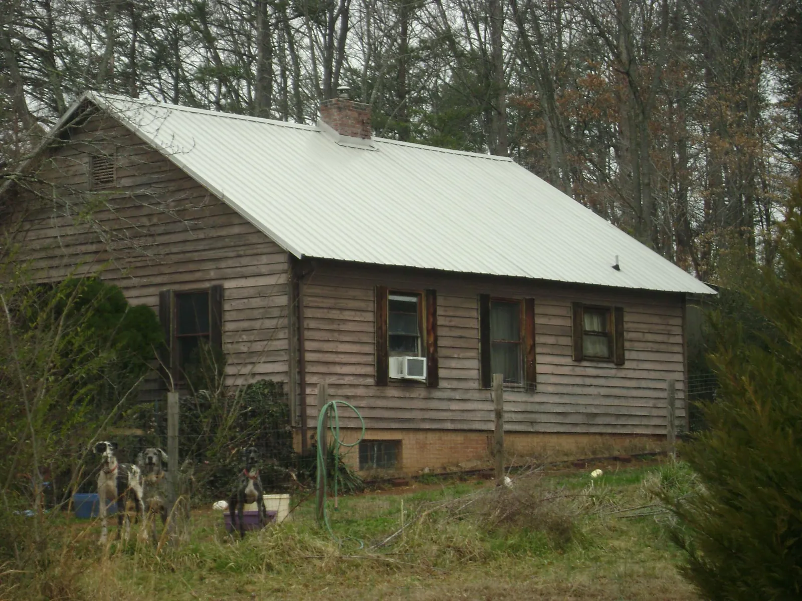White metal roof on an old wood sided farmhouse, from a Asphalt Shingle Roof Repair job in San Juan Bautista
